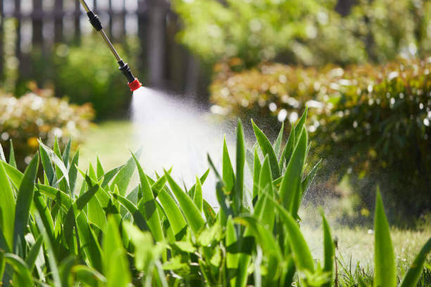 24/7 Emergency Mosquito Control experts in Collierville, CA