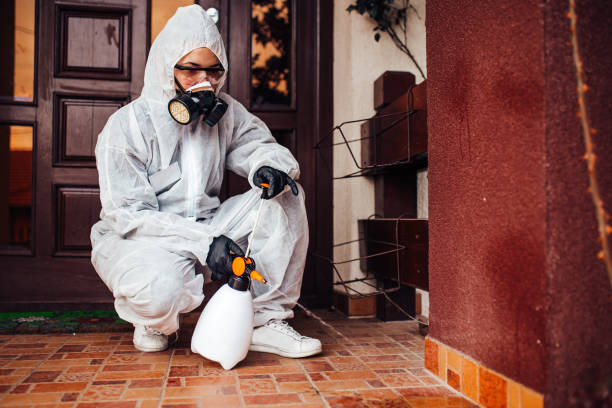 Reliable Mosquito Control contractor in Collierville, CA by Nex Pest Control