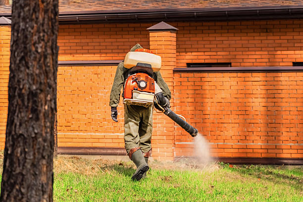 Top rated local Mosquito Control specialists in Collierville, CA